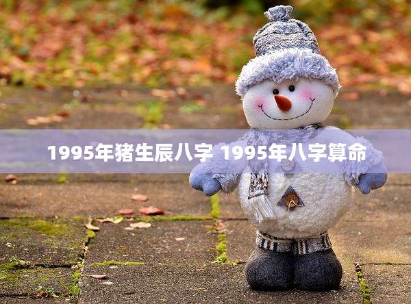 1995年猪生辰八字 1995年八字算命