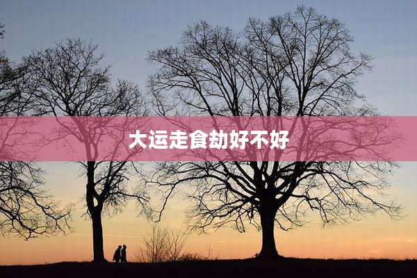 大运走食劫好不好