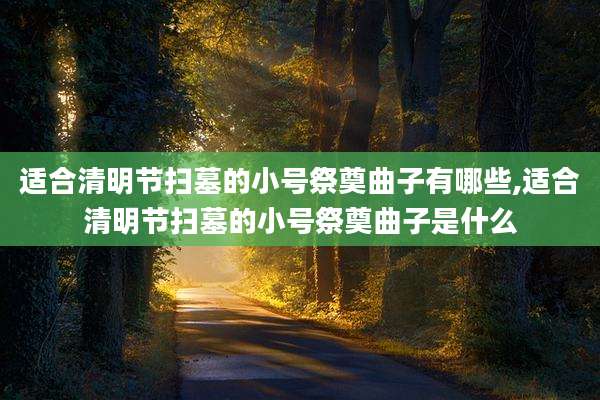 适合清明节扫墓的小号祭奠曲子有哪些,适合清明节扫墓的小号祭奠曲子是什么