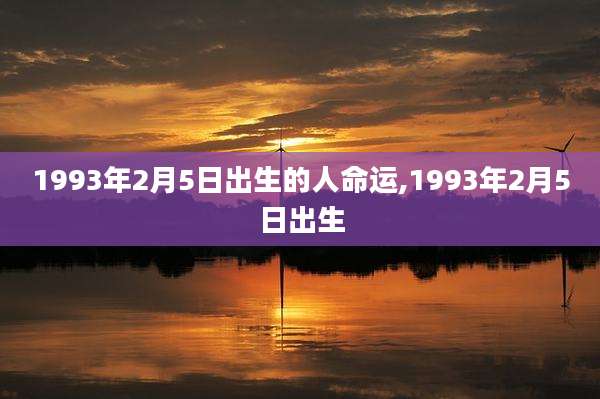 1993年2月5日出生的人命运,1993年2月5日出生