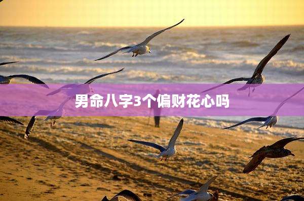 男命八字3个偏财花心吗
