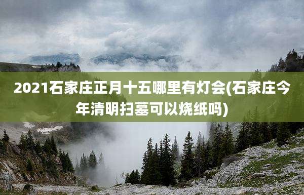 2021石家庄正月十五哪里有灯会(石家庄今年清明扫墓可以烧纸吗)