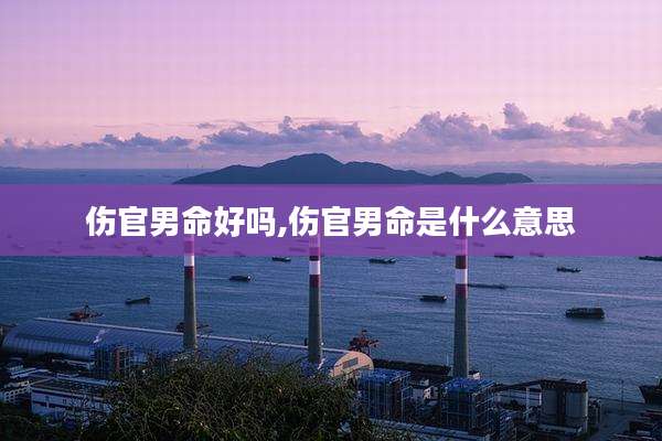 伤官男命好吗,伤官男命是什么意思