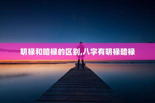 明禄和暗禄的区别,八字有明禄暗禄