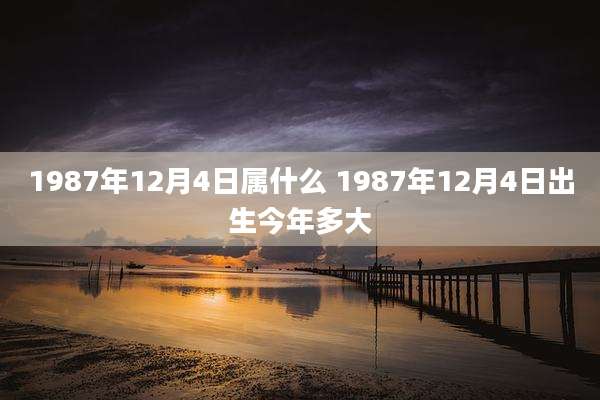 1987年12月4日属什么 1987年12月4日出生今年多大