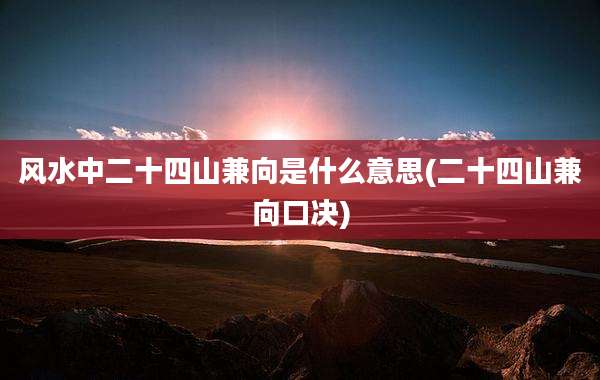 风水中二十四山兼向是什么意思(二十四山兼向口决)