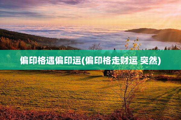 偏印格遇偏印运(偏印格走财运 突然)