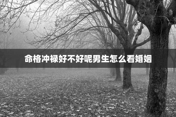 命格冲禄好不好呢男生怎么看婚姻