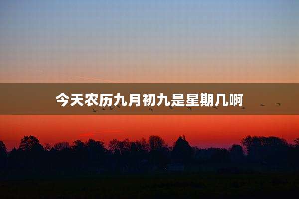 今天农历九月初九是星期几啊