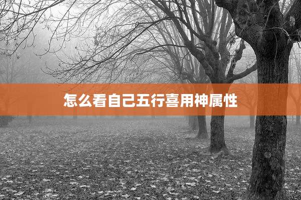 怎么看自己五行喜用神属性