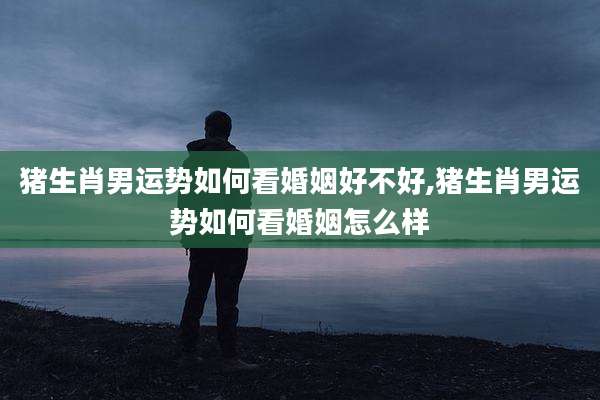 猪生肖男运势如何看婚姻好不好,猪生肖男运势如何看婚姻怎么样