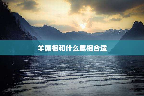 羊属相和什么属相合适