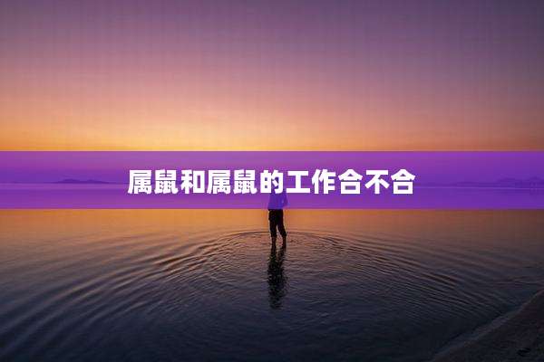属鼠和属鼠的工作合不合