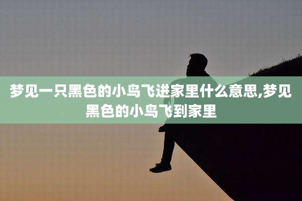 梦见一只黑色的小鸟飞进家里什么意思,梦见黑色的小鸟飞到家里