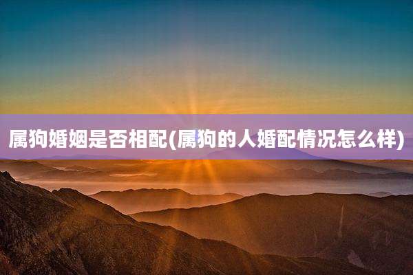 属狗婚姻是否相配(属狗的人婚配情况怎么样)
