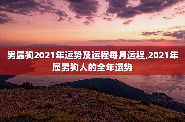 男属狗2021年运势及运程每月运程,2021年属男狗人的全年运势