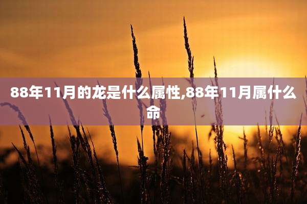 88年11月的龙是什么属性,88年11月属什么命