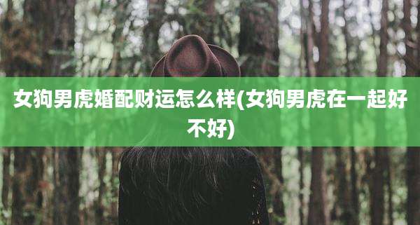 女狗男虎婚配财运怎么样(女狗男虎在一起好不好)