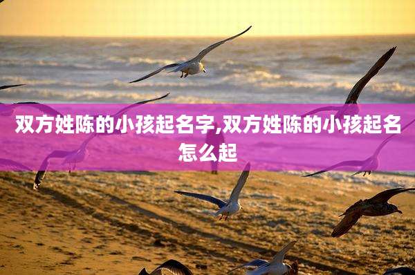 双方姓陈的小孩起名字,双方姓陈的小孩起名怎么起