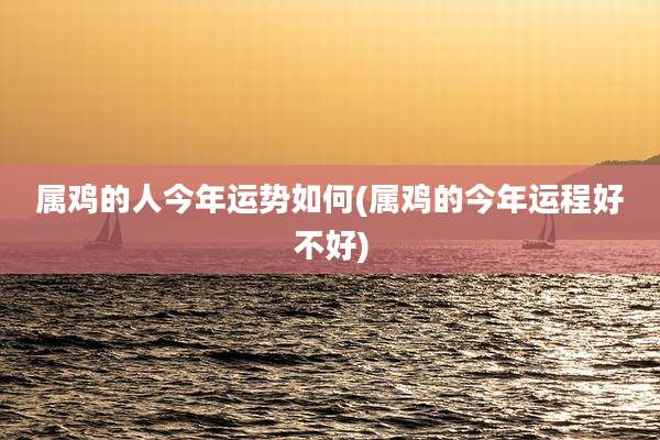属鸡的人今年运势如何(属鸡的今年运程好不好)