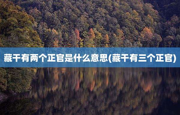 藏干有两个正官是什么意思(藏干有三个正官)