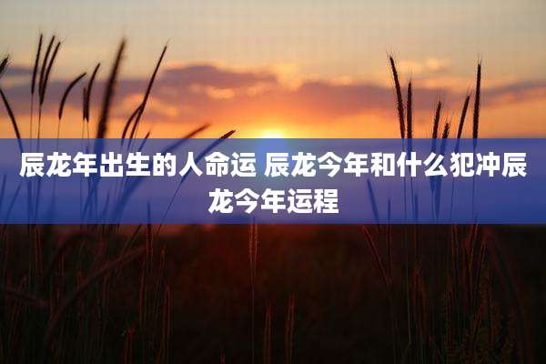 辰龙年出生的人命运 辰龙今年和什么犯冲辰龙今年运程