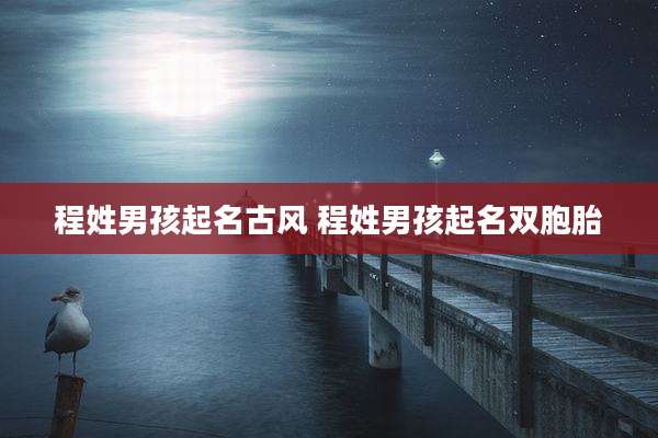 程姓男孩起名古风 程姓男孩起名双胞胎