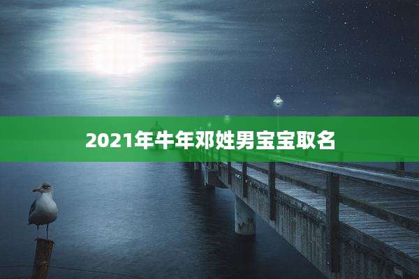 2021年牛年邓姓男宝宝取名