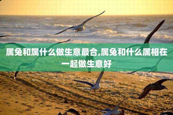 属兔和属什么做生意最合,属兔和什么属相在一起做生意好