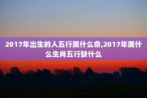 2017年出生的人五行属什么命,2017年属什么生肖五行缺什么
