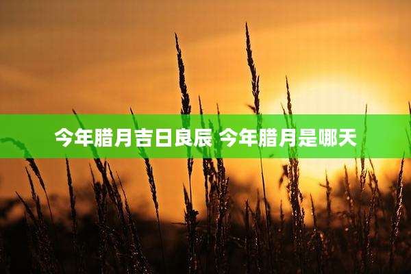 今年腊月吉日良辰 今年腊月是哪天