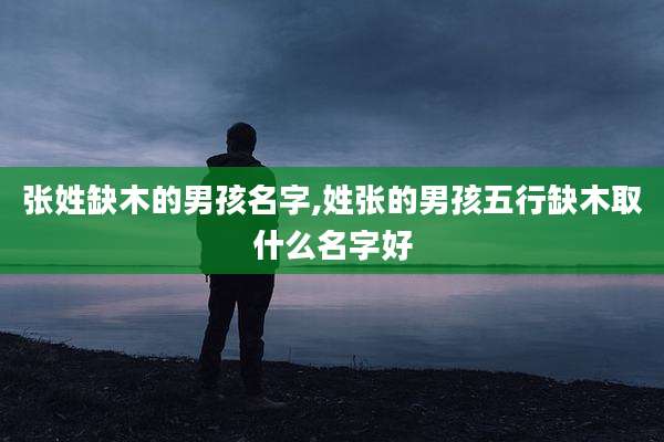 张姓缺木的男孩名字,姓张的男孩五行缺木取什么名字好