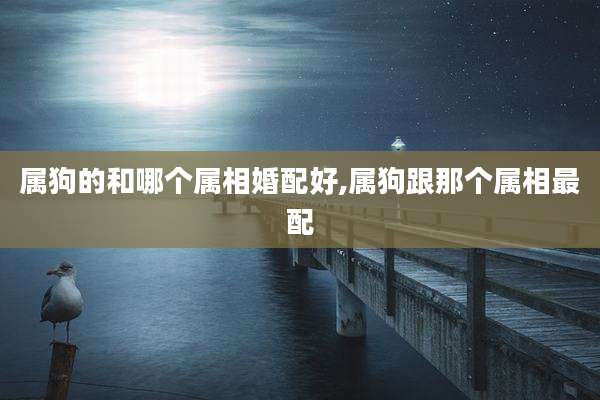 属狗的和哪个属相婚配好,属狗跟那个属相最配