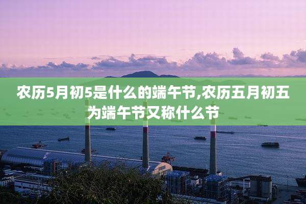 农历5月初5是什么的端午节,农历五月初五为端午节又称什么节