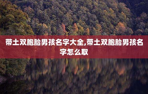 带土双胞胎男孩名字大全,带土双胞胎男孩名字怎么取