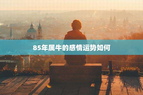 85年属牛的感情运势如何