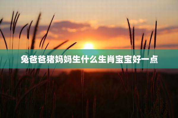 兔爸爸猪妈妈生什么生肖宝宝好一点