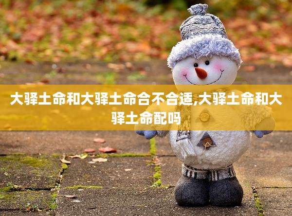 大驿土命和大驿土命合不合适,大驿土命和大驿土命配吗