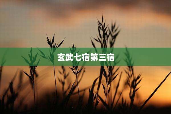 玄武七宿第三宿