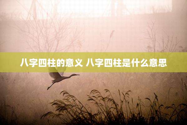 八字四柱的意义 八字四柱是什么意思