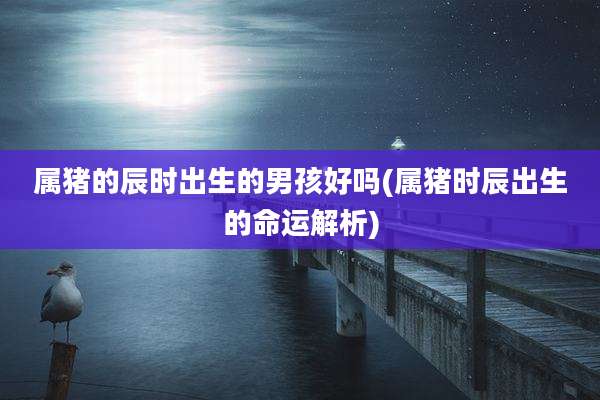 属猪的辰时出生的男孩好吗(属猪时辰出生的命运解析)