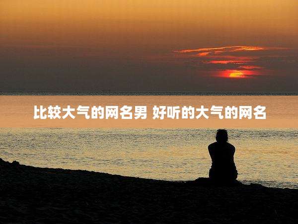 比较大气的网名男 好听的大气的网名