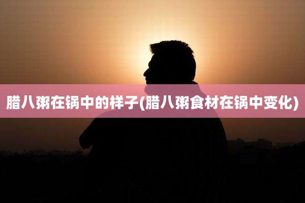 腊八粥在锅中的样子(腊八粥食材在锅中变化)