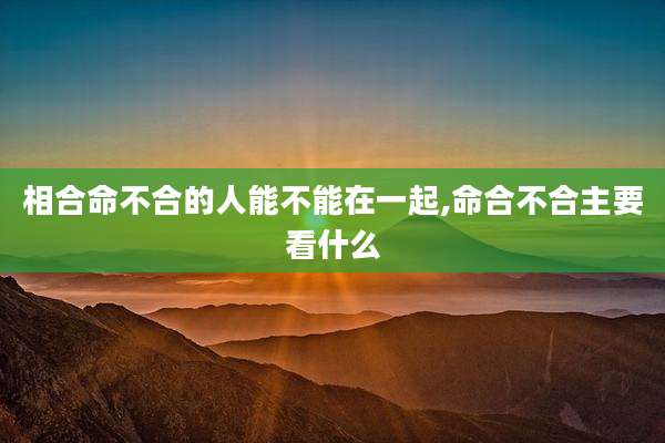 相合命不合的人能不能在一起,命合不合主要看什么