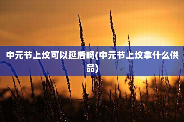 中元节上坟可以延后吗(中元节上坟拿什么供品)