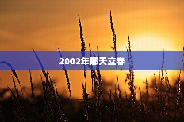 2002年那天立春
