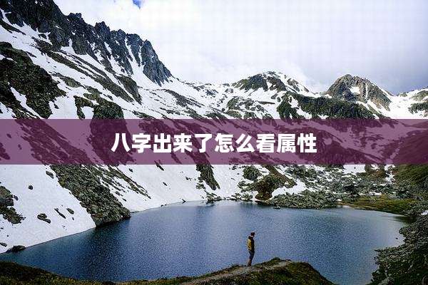八字出来了怎么看属性