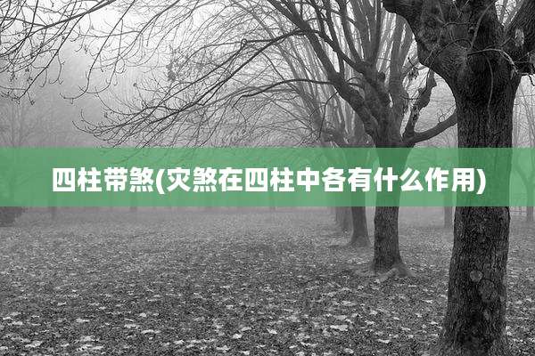 四柱带煞(灾煞在四柱中各有什么作用)