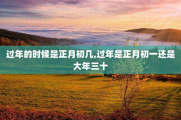过年的时候是正月初几,过年是正月初一还是大年三十