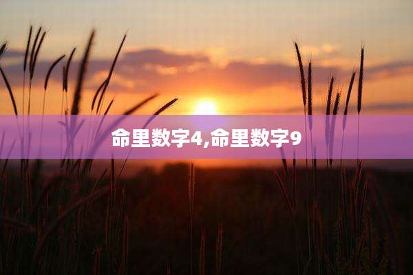 命里数字4,命里数字9